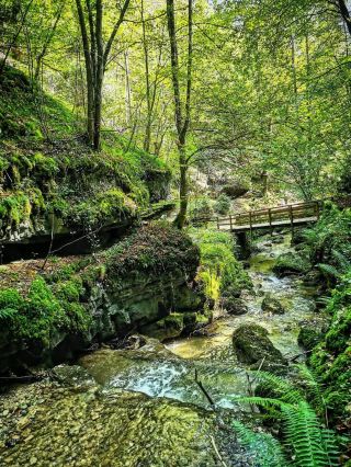 Solothurn Feels Elegant Calm and Effortlessly Charming 