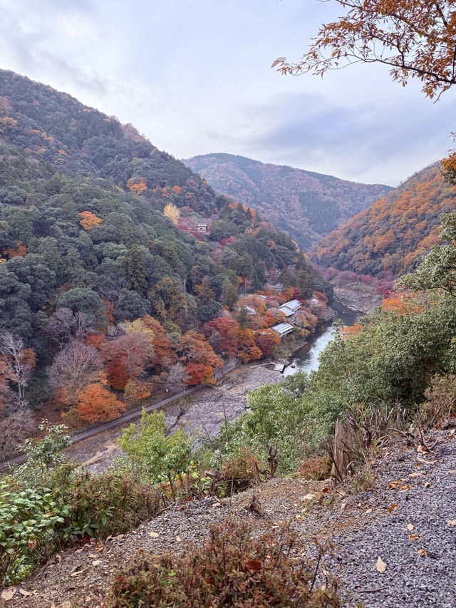 Spent the day in Arashiyama