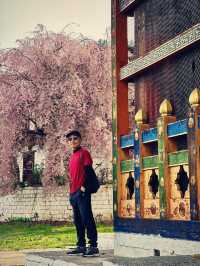 Kurjey Lhakhang: Bhutan’s Sacred Hidden Gem 🌄✨