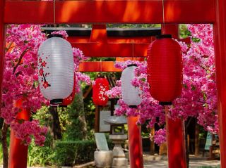 重慶の寺院と公園で心安らぐひとときを。