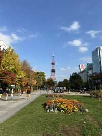 北海道「大通公園」散策日記📔