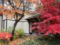 【北海道・小樽】紅葉の中に泊まる🍁 2度訪れたくなった温泉宿「おたる宏楽園」