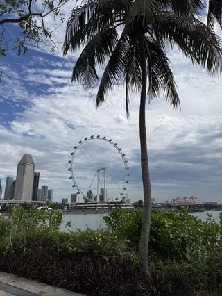 Where the City Meets the Sea: A Morning Stroll at Gardens by the Bay