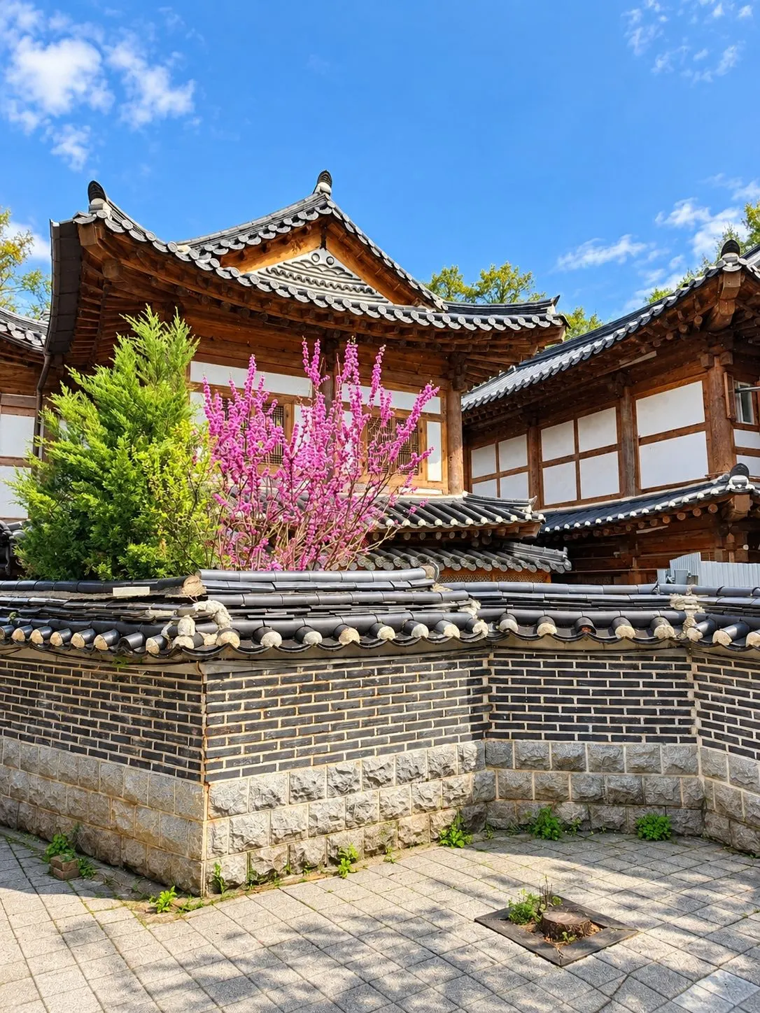 Jeonju Is Better With a Loose Plan