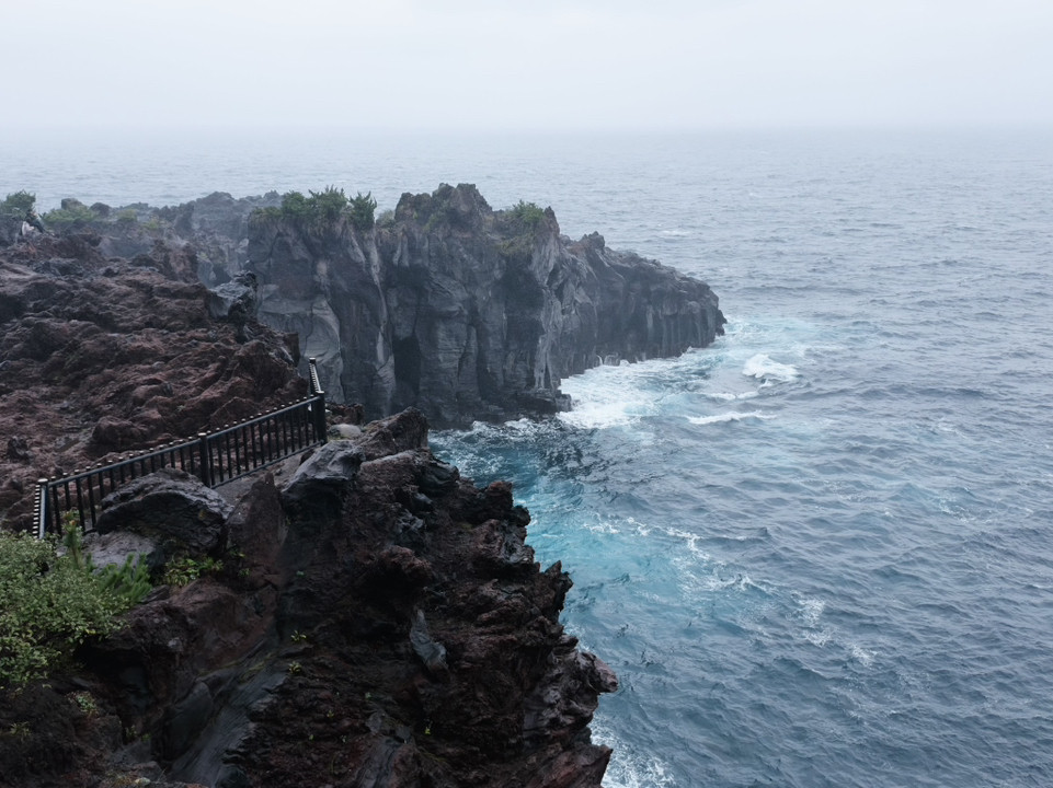 Shizuoka Izu | The Rugged Beauty of Jogasaki Coast: Black Lava
