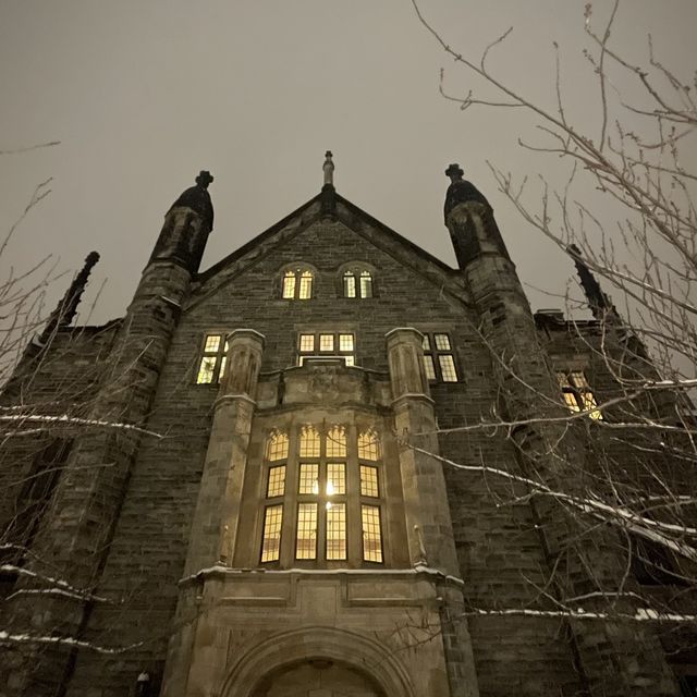 Stunning University of Toronto campus! 🤩 