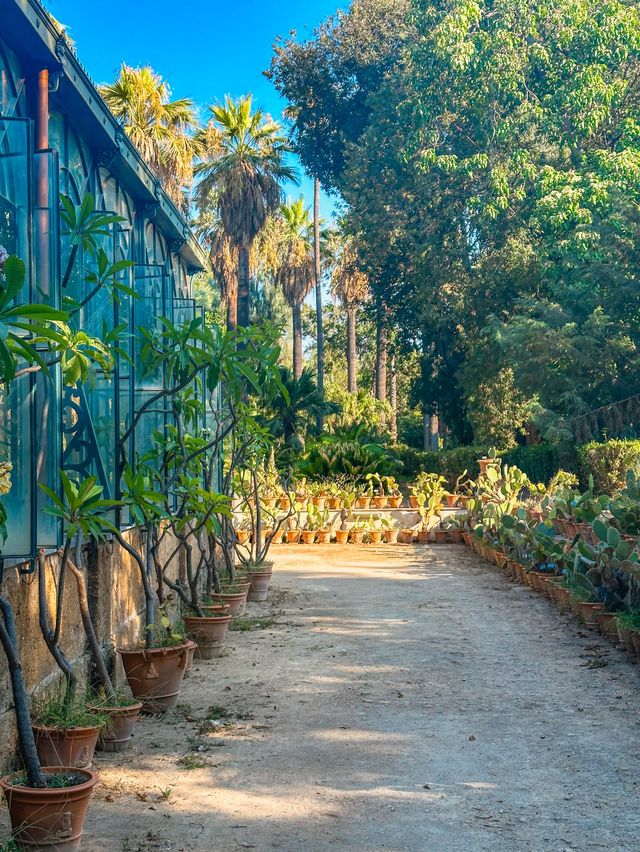 Botanical Garden 🪴 