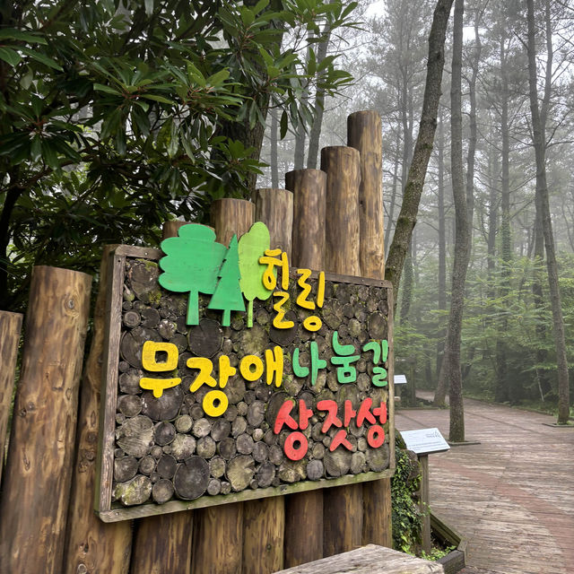 제주여행🏝️ 열다섯번째 오름, 비 오는 날 가기 좋은 붉은오름 자연 휴양림☔️