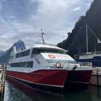 【NZ】ミルフォードサウンドへ🚢