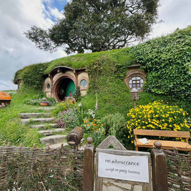 🚘🇳🇿🌄 10-Day Road Trip Through New Zealand’s North Island: An Unforgettable Adventure! 