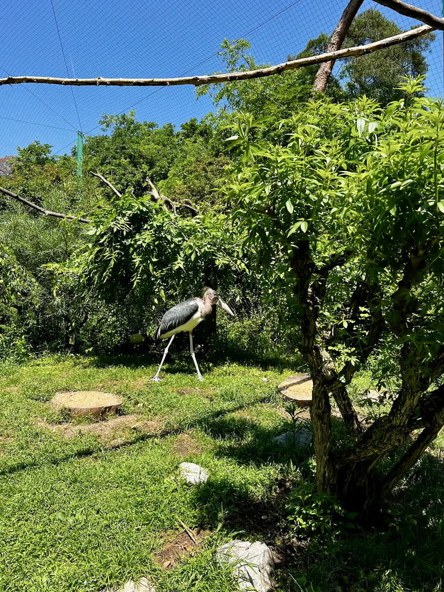 Debrecen Zoo & amusement park