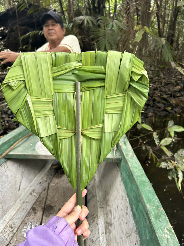 🇵🇪アマゾン川の大自然を体感🦥🦜🐒イキトス発アマゾンツアー