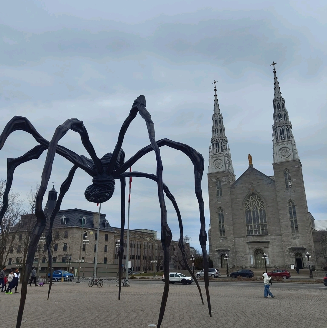 Ottawa, Northumberland County -  - 圖 4