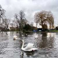 Colchester town