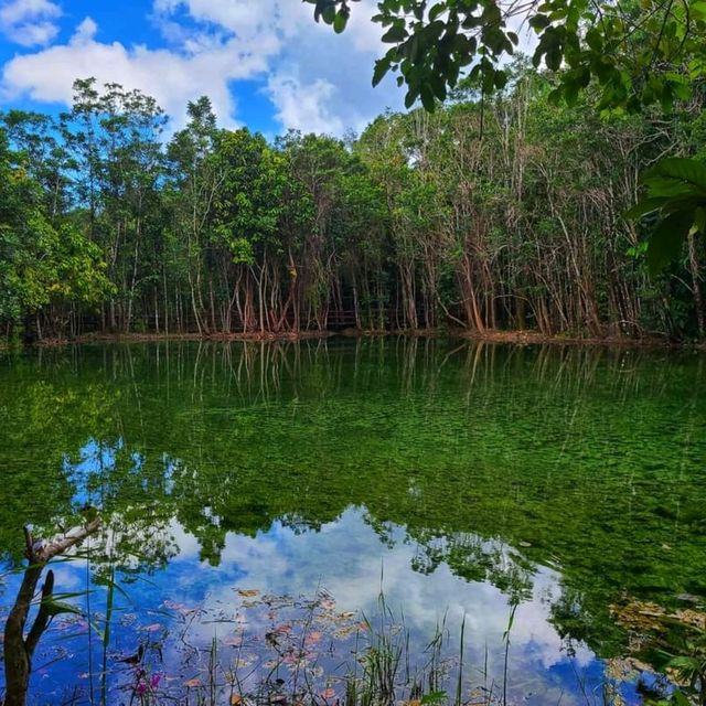 Oasis in nature 