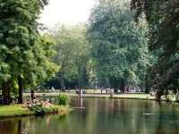 The biggest public park Vondelpark 🌴