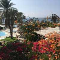 파포스의 추천 리조트: 코랄 비치 호텔 & 리조트 사이프러스 Coral Beach Hotel & Resort