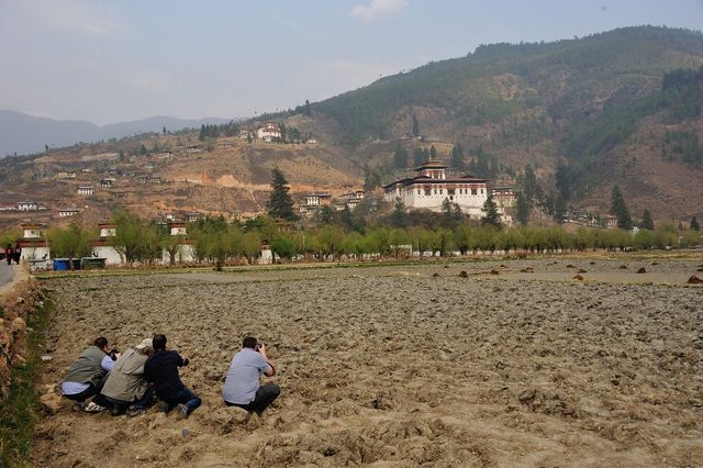 Zen in the Himalayas