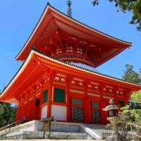 《金剛峯寺》⛩️歷史悠久的真言宗總本山寺院⛩️