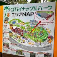 🍍名護鳳梨園🍍代表沖繩之水果