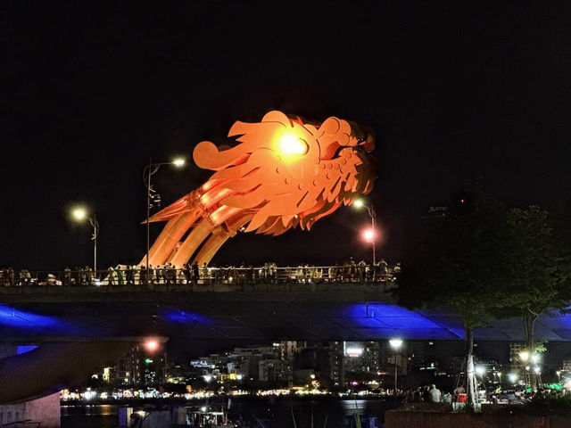 Dragon bridge of Vietnam 🇻🇳 