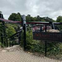 Alton tower🎢
