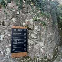 The Initiation Well at Quinta da Regaleira – A Mystical Experience