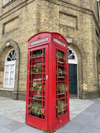 Day Trip from London to Bath: A Journey Through Time