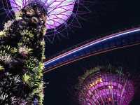 Singapore is truly another world! 