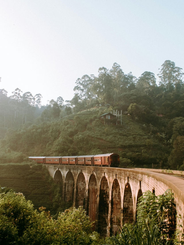 Sri Lanka – A Tropical Paradise of Wonders 🇱🇰