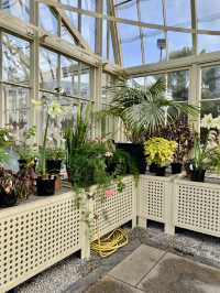 Spring Awakens the Botanic Gardens