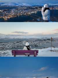 Must visit once in a lifetime! Tromso 🇳🇴