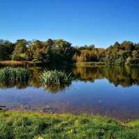 Cambridge Wimpole Estate – A Stroll Through Elegance and Earth