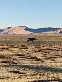 The Ancient Dunes of Sossusvlei & Deadvlei 🏜️