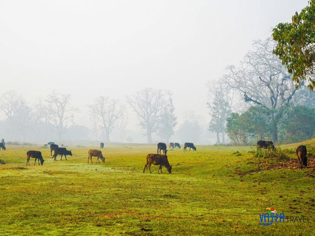 Chitwan National Park
