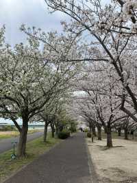 4 Days in Tokyo