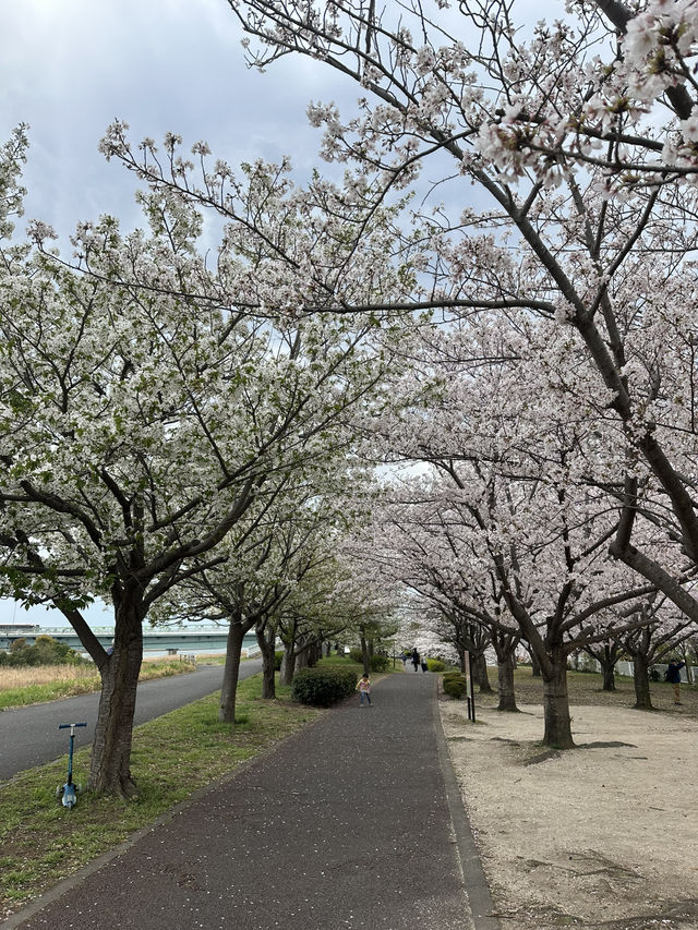 4 Days in Tokyo