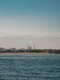 Day Trip to Sur, Oman!