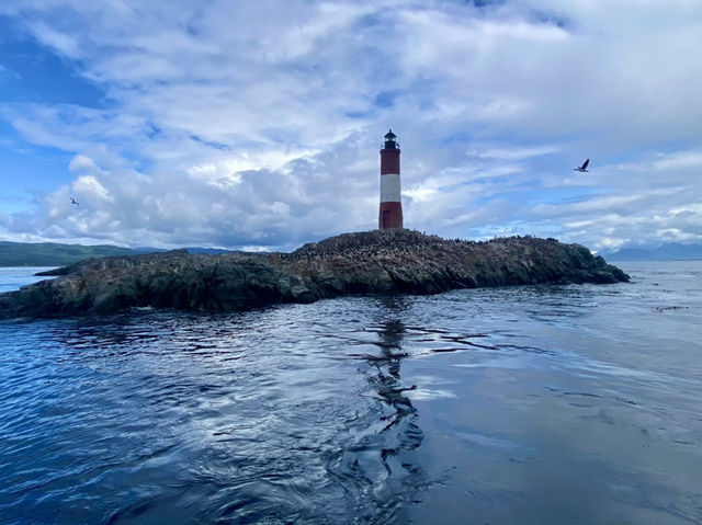 Port Promenade & Historical Deep Dive