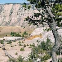 🌄 Yellowstone Hidden Icons – Another Set of Must-See Landmarks 🌄