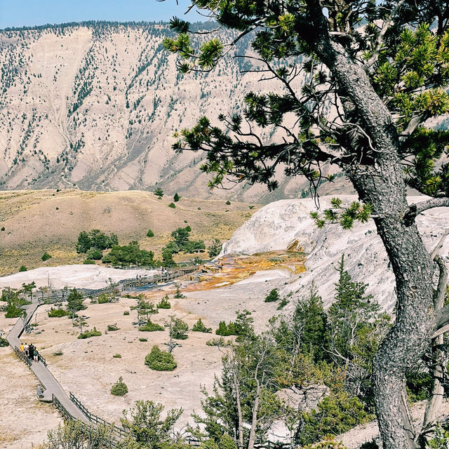 🌄 Yellowstone Hidden Icons – Another Set of Must-See Landmarks 🌄