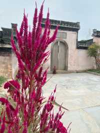 🏯 Chengkan: A Quiet Step Back in Time 🇨🇳