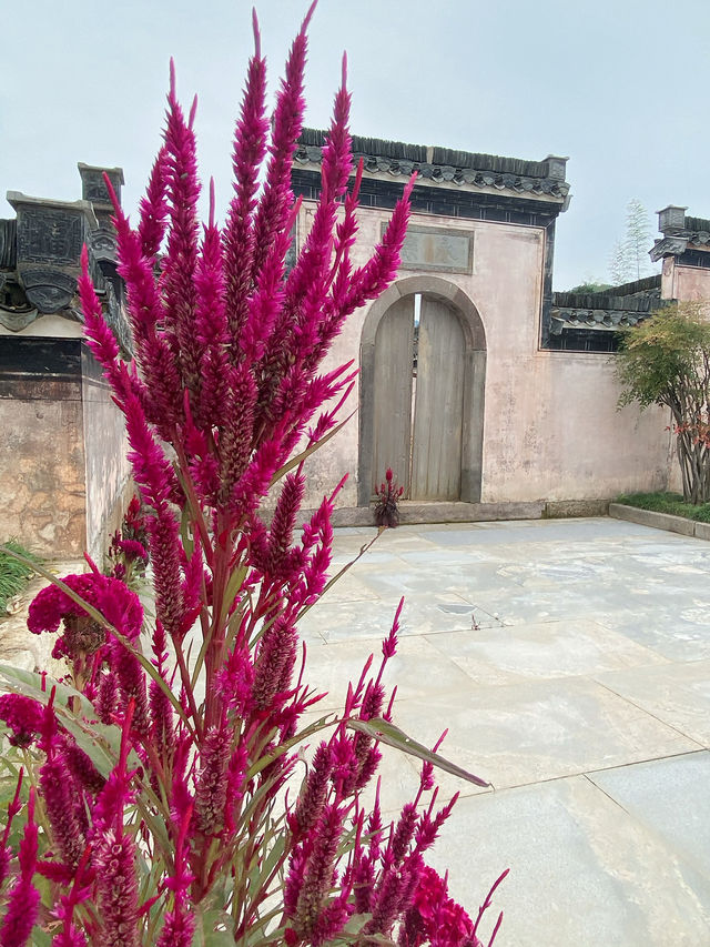 🏯 Chengkan: A Quiet Step Back in Time 🇨🇳
