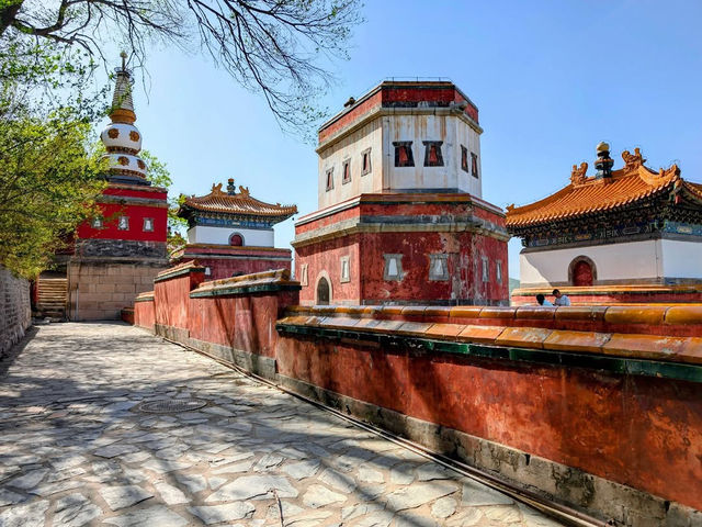 A Royal Retreat: Where Nature and Majesty Unite