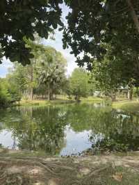 Free hot spring in Surat Thani