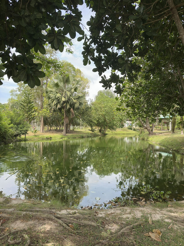 Free hot spring in Surat Thani