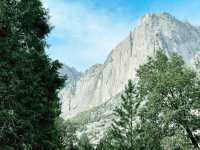 California Dreamin’: 7 Days, 5 National Parks