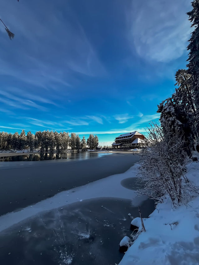 A magical escape to Mummelsee — the Black Forest’s hidden gem 🌲