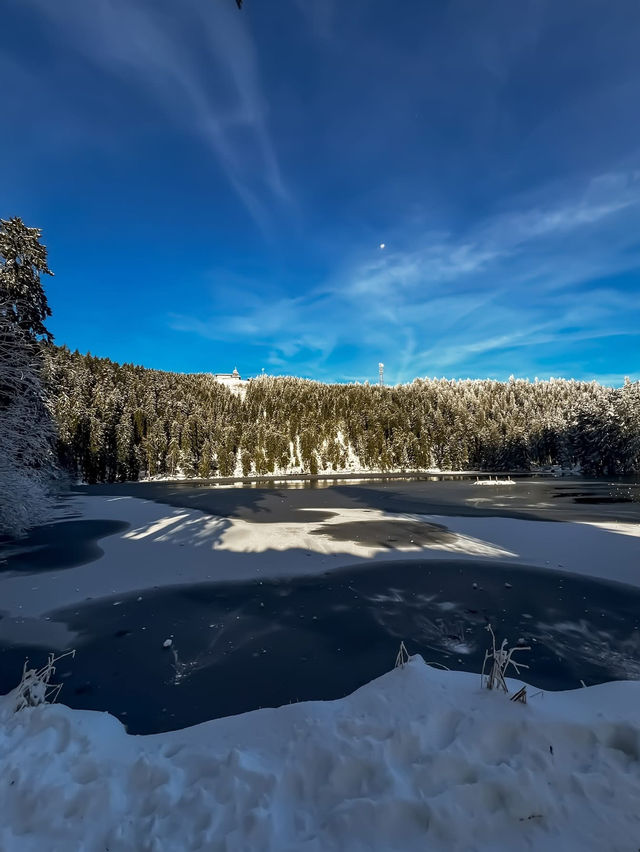 A magical escape to Mummelsee — the Black Forest’s hidden gem 🌲