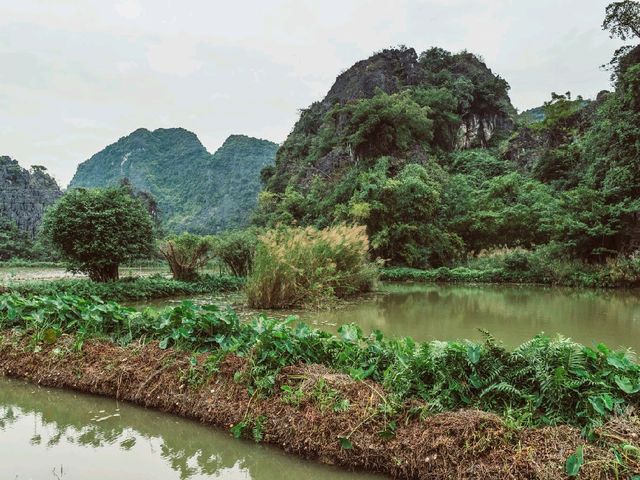 Tam Coc: Vietnam’s Hidden Gem of Limestone Peaks and Peaceful Rice Fields